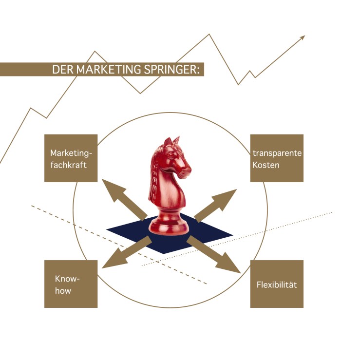 MARKETING SPRINGER BEI BEDARF MARKETING AUF ZEIT MARKETING AUF ABRUF